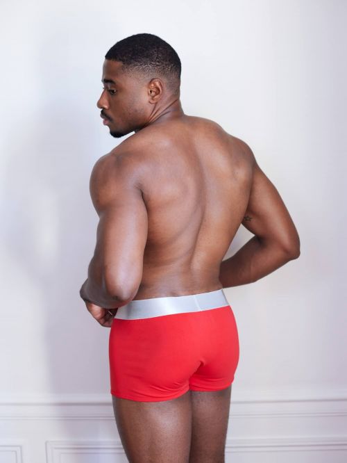 Easyalbert boxer hom