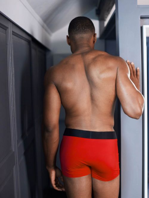 Boxer KARL RED
